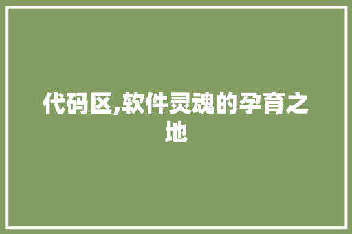 代码区,软件灵魂的孕育之地 代码区,软件灵魂的孕育之地 SEO关键词