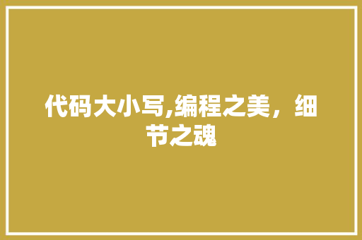 代码大小写,编程之美，细节之魂 代码大小写,编程之美，细节之魂 SEO关键词