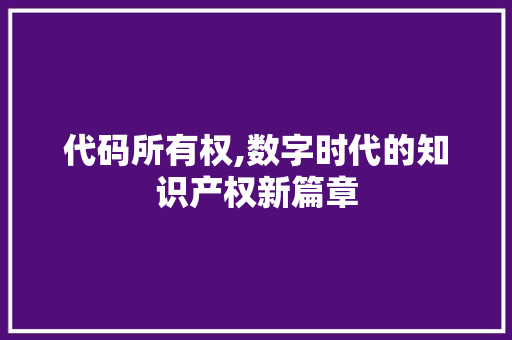 代码所有权,数字时代的知识产权新篇章 代码所有权,数字时代的知识产权新篇章 神马SEO