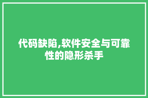 代码缺陷,软件安全与可靠性的隐形杀手 代码缺陷,软件安全与可靠性的隐形杀手 SEO关键词