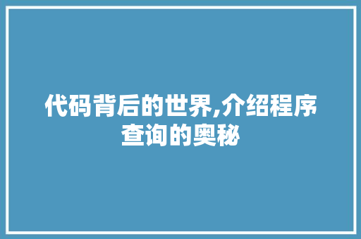 代码背后的世界,介绍程序查询的奥秘