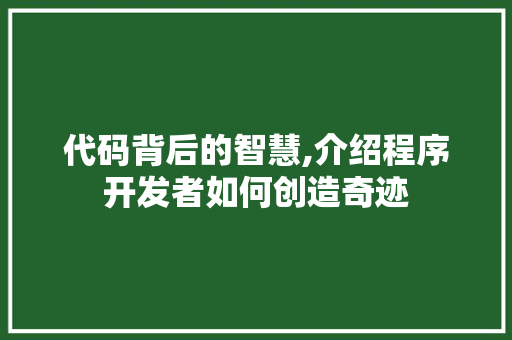 代码背后的智慧,介绍程序开发者如何创造奇迹 代码背后的智慧,介绍程序开发者如何创造奇迹 必应SEO