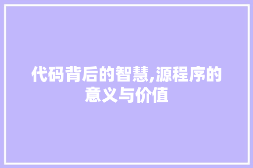 代码背后的智慧,源程序的意义与价值