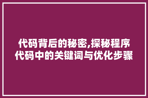 代码背后的秘密,探秘程序代码中的关键词与优化步骤 代码背后的秘密,探秘程序代码中的关键词与优化步骤 必应SEO