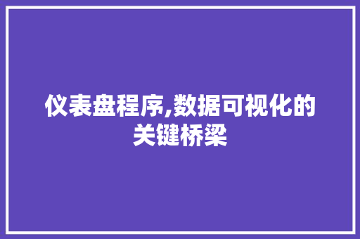 仪表盘程序,数据可视化的关键桥梁 仪表盘程序,数据可视化的关键桥梁 必应SEO
