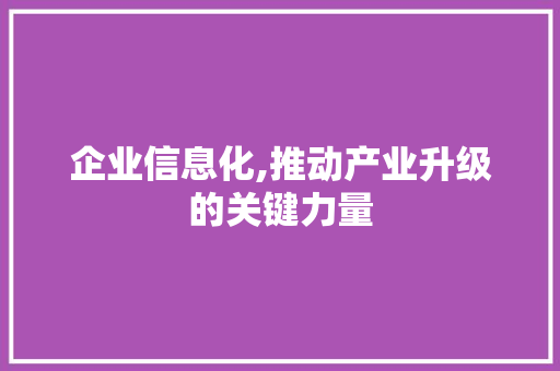 企业信息化,推动产业升级的关键力量 企业信息化,推动产业升级的关键力量 必应SEO