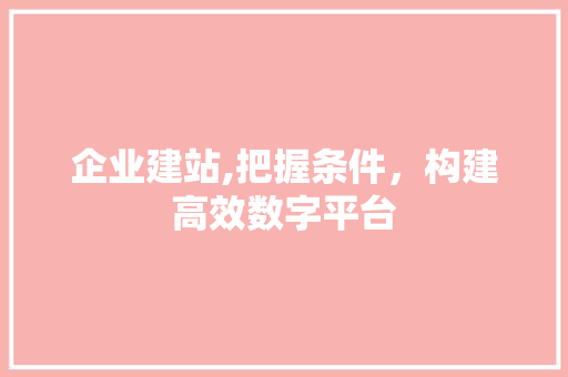 企业建站,把握条件，构建高效数字平台 企业建站,把握条件，构建高效数字平台 百度SEO
