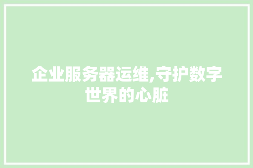 企业服务器运维,守护数字世界的心脏 企业服务器运维,守护数字世界的心脏 必应SEO