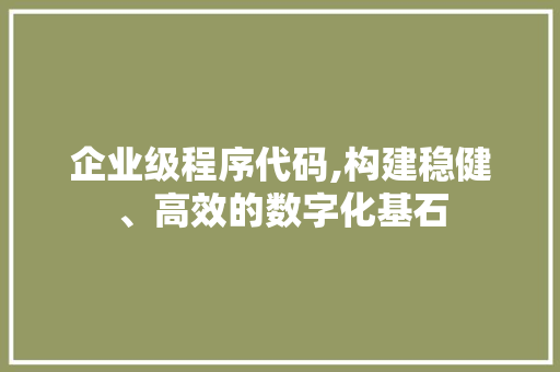 企业级程序代码,构建稳健、高效的数字化基石