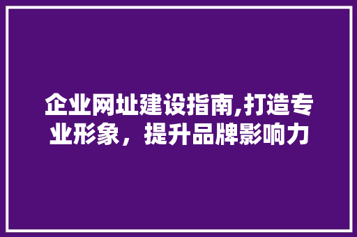 企业网址建设指南,打造专业形象，提升品牌影响力