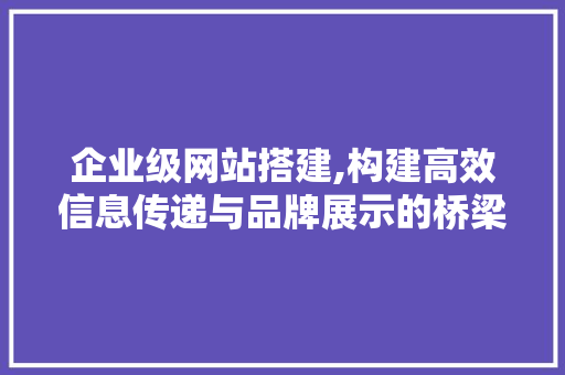 企业级网站搭建,构建高效信息传递与品牌展示的桥梁 企业级网站搭建,构建高效信息传递与品牌展示的桥梁 SEO关键词