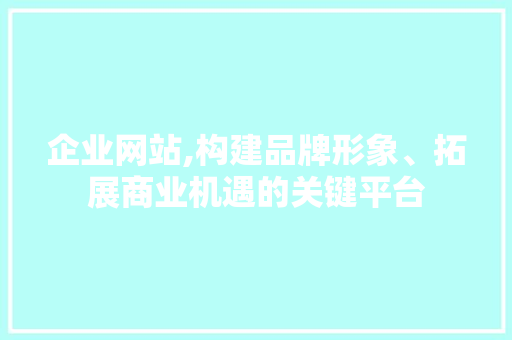 企业网站,构建品牌形象、拓展商业机遇的关键平台