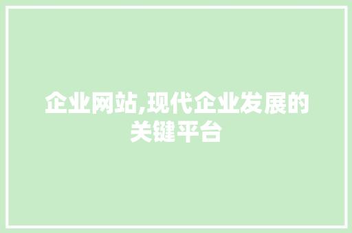 企业网站,现代企业发展的关键平台