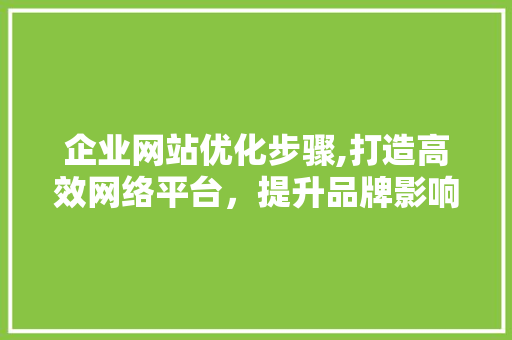 企业网站优化步骤,打造高效网络平台，提升品牌影响力 企业网站优化步骤,打造高效网络平台，提升品牌影响力 网站建设公司