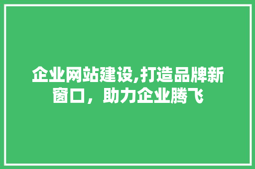 企业网站建设,打造品牌新窗口，助力企业腾飞 企业网站建设,打造品牌新窗口，助力企业腾飞 SEO关键词