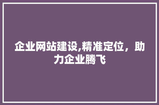 企业网站建设,精准定位，助力企业腾飞 企业网站建设,精准定位，助力企业腾飞 网站建设公司