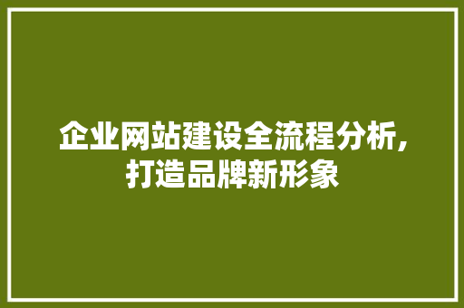 企业网站建设全流程分析,打造品牌新形象 企业网站建设全流程分析,打造品牌新形象 神马SEO