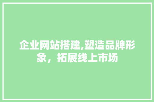 企业网站搭建,塑造品牌形象，拓展线上市场 企业网站搭建,塑造品牌形象，拓展线上市场 网站建设公司