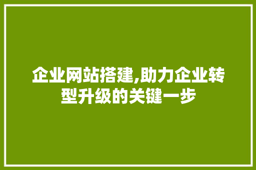 企业网站搭建,助力企业转型升级的关键一步 企业网站搭建,助力企业转型升级的关键一步 神马SEO