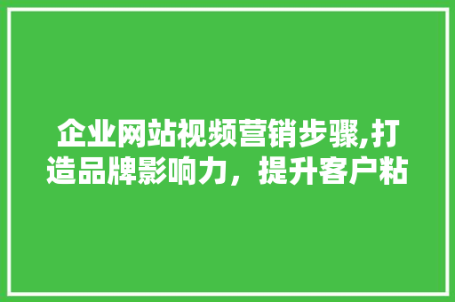 企业网站视频营销步骤,打造品牌影响力，提升客户粘性 企业网站视频营销步骤,打造品牌影响力，提升客户粘性 神马SEO