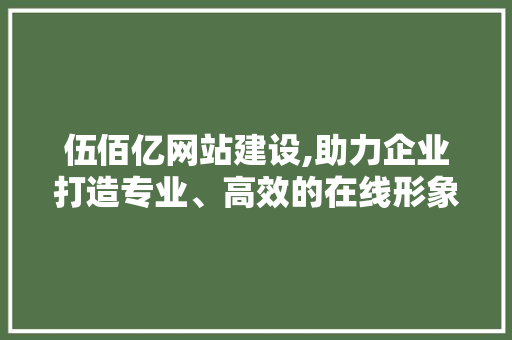 伍佰亿网站建设,助力企业打造专业、高效的在线形象 伍佰亿网站建设,助力企业打造专业、高效的在线形象 网站建设公司