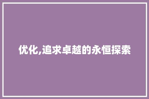 优化,追求卓越的永恒探索 优化,追求卓越的永恒探索 百度SEO