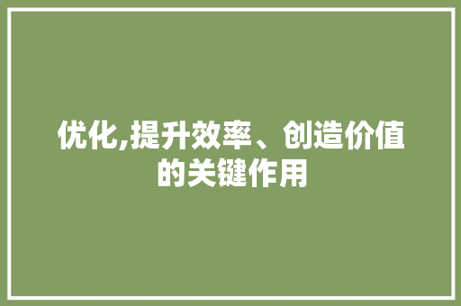 优化,提升效率、创造价值的关键作用 优化,提升效率、创造价值的关键作用 SEO关键词