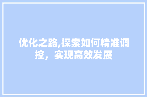 优化之路,探索如何精准调控，实现高效发展 优化之路,探索如何精准调控，实现高效发展 SEO关键词
