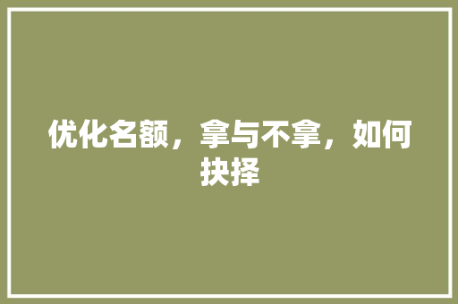 优化名额，拿与不拿，如何抉择 优化名额，拿与不拿，如何抉择 神马SEO