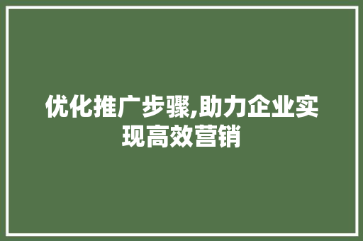 优化推广步骤,助力企业实现高效营销 优化推广步骤,助力企业实现高效营销 网站建设公司