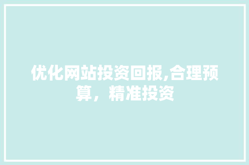 优化网站投资回报,合理预算，精准投资 优化网站投资回报,合理预算，精准投资 SEO关键词