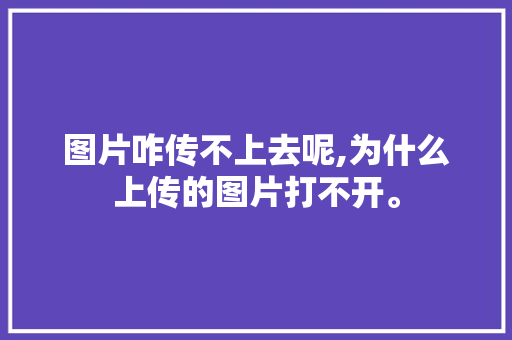 图片咋传不上去呢,为什么上传的图片打不开。 图片咋传不上去呢,为什么上传的图片打不开。 SEO关键词