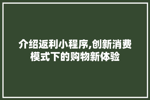 介绍返利小程序,创新消费模式下的购物新体验 介绍返利小程序,创新消费模式下的购物新体验 神马SEO