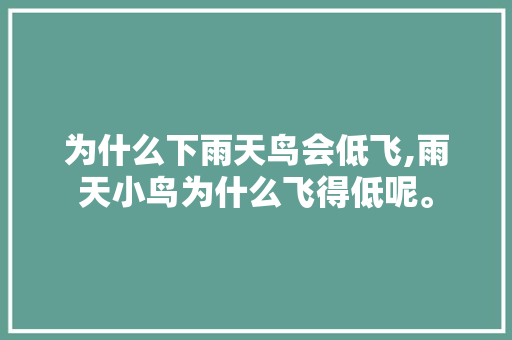 为什么下雨天鸟会低飞,雨天小鸟为什么飞得低呢。 为什么下雨天鸟会低飞,雨天小鸟为什么飞得低呢。 百度SEO