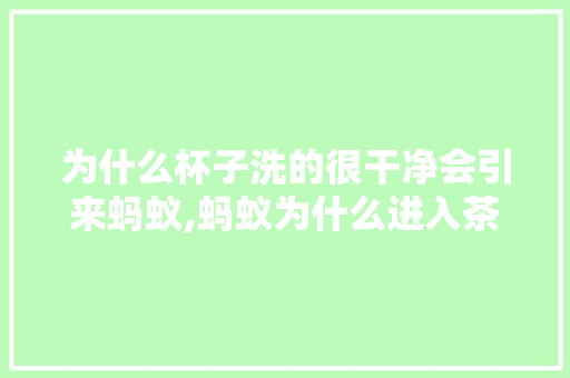 为什么杯子洗的很干净会引来蚂蚁,蚂蚁为什么进入茶杯里。 为什么杯子洗的很干净会引来蚂蚁,蚂蚁为什么进入茶杯里。 必应SEO
