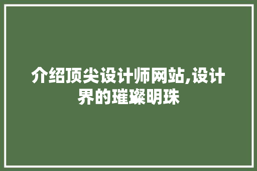 介绍顶尖设计师网站,设计界的璀璨明珠