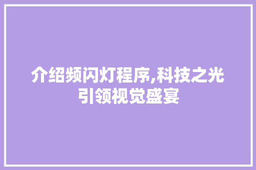 介绍频闪灯程序,科技之光引领视觉盛宴