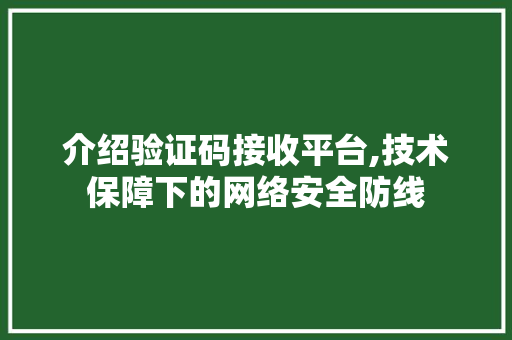 介绍验证码接收平台,技术保障下的网络安全防线 介绍验证码接收平台,技术保障下的网络安全防线 必应SEO