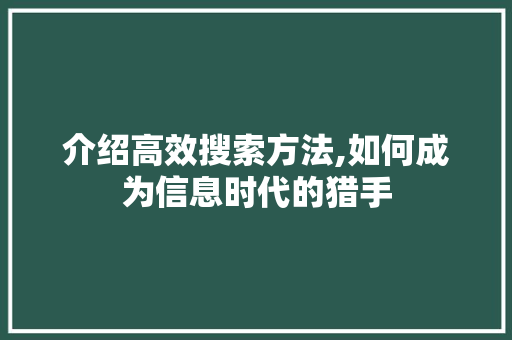 介绍高效搜索方法,如何成为信息时代的猎手 介绍高效搜索方法,如何成为信息时代的猎手 网站建设公司