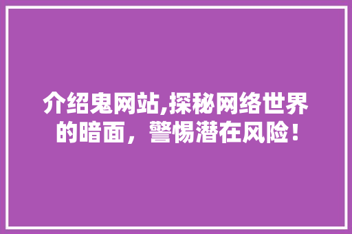 介绍鬼网站,探秘网络世界的暗面，警惕潜在风险！ 介绍鬼网站,探秘网络世界的暗面，警惕潜在风险！ 百度SEO