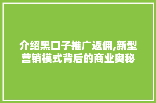 介绍黑口子推广返佣,新型营销模式背后的商业奥秘 介绍黑口子推广返佣,新型营销模式背后的商业奥秘 神马SEO