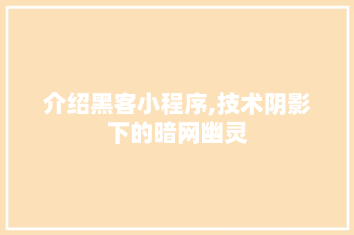介绍黑客小程序,技术阴影下的暗网幽灵 介绍黑客小程序,技术阴影下的暗网幽灵 网站建设公司