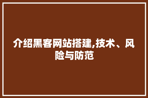 介绍黑客网站搭建,技术、风险与防范