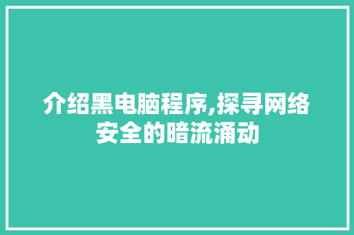 介绍黑电脑程序,探寻网络安全的暗流涌动 介绍黑电脑程序,探寻网络安全的暗流涌动 百度SEO