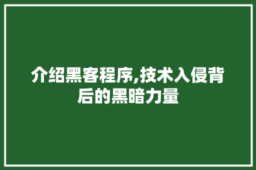 介绍黑客程序,技术入侵背后的黑暗力量