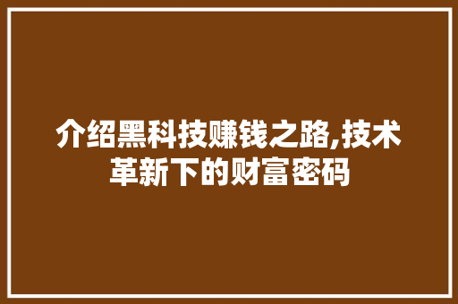介绍黑科技赚钱之路,技术革新下的财富密码 介绍黑科技赚钱之路,技术革新下的财富密码 必应SEO