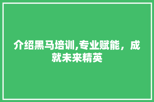 介绍黑马培训,专业赋能，成就未来精英 介绍黑马培训,专业赋能，成就未来精英 必应SEO