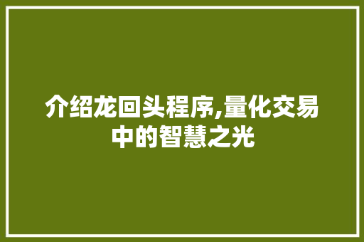 介绍龙回头程序,量化交易中的智慧之光 介绍龙回头程序,量化交易中的智慧之光 神马SEO