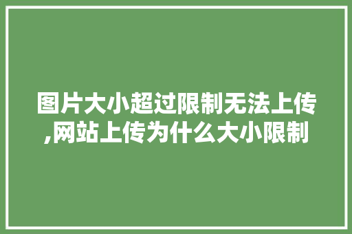 图片大小超过限制无法上传,网站上传为什么大小限制了。 图片大小超过限制无法上传,网站上传为什么大小限制了。 网站建设公司