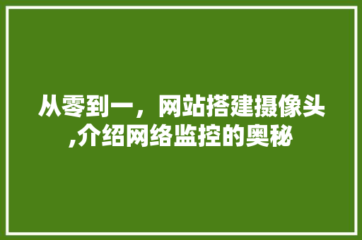从零到一，网站搭建摄像头,介绍网络监控的奥秘